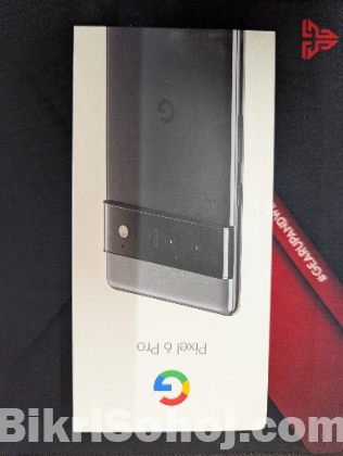 Pixel 6 Pro (Google)